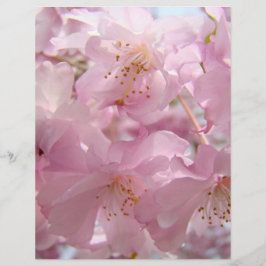 ピンクの花の開花チラシ カスタム チラシ