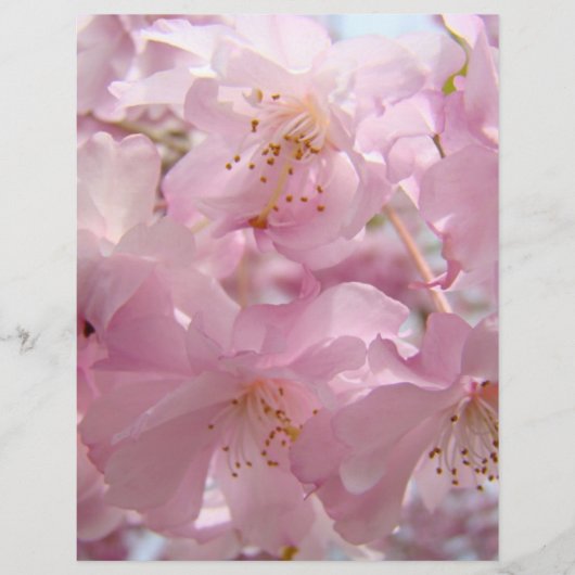 ピンクの花の開花チラシ カスタム チラシ (正面)