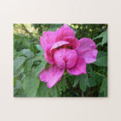 ピンクの花の開花 アート写真 - ジグソーパズル (横)