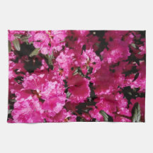 ピンクの花の開花