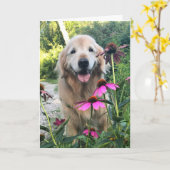 ピンクの花の間の笑顔のゴールデンレトリバー空白の カード (黄色い花)