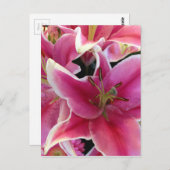 ピンクの花の魔法 ポストカード (正面/裏面)