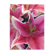 ピンクの花の魔法