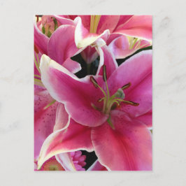 ピンクの花の魔法 ポストカード