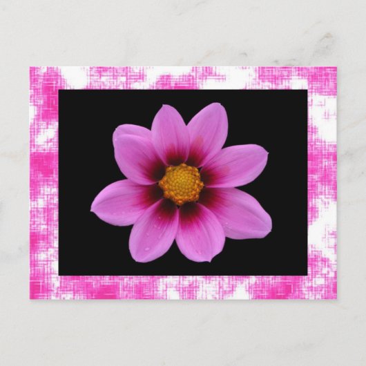 ピンクの花はがき ポストカード (正面)