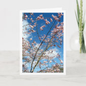 ピンクの花びらをブルースカイの風景 カード (正面)