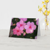 ピンクの花びら カード (黄色い花)