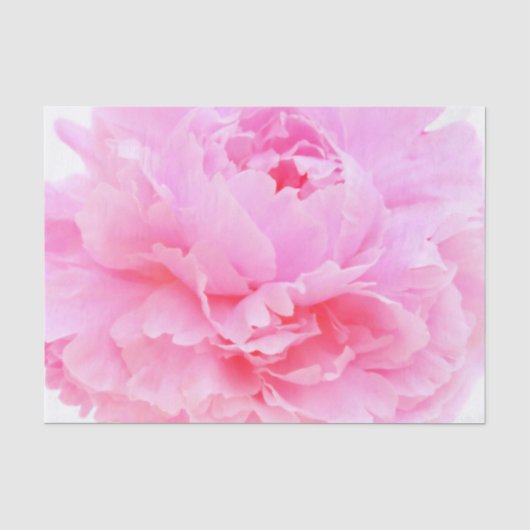 ピンクの花びら 薄葉紙 (正面)