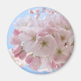 ピンクの花びら 青い空 マグネット