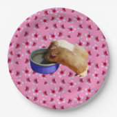 ピンクの花を咲かせたモルモット ペーパープレート (正面)