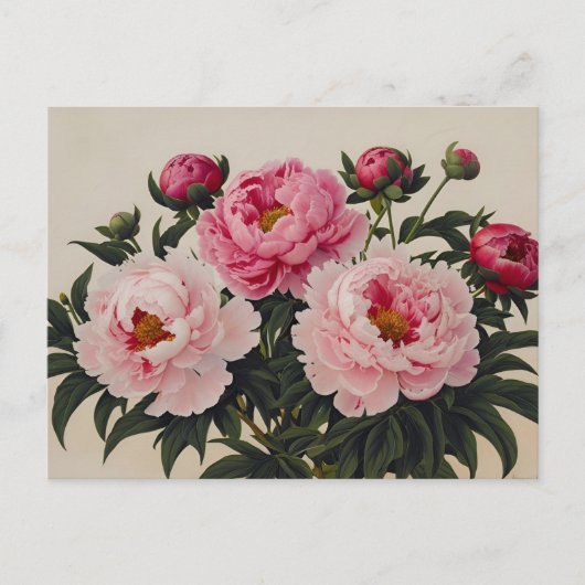 ピンクの花を咲かせた牡丹の花束 ポストカード (正面)