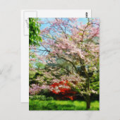 ピンクの花を咲かせるハト ポストカード (正面/裏面)