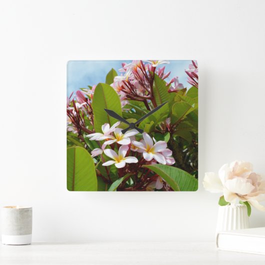 ピンクの花を咲かせるフランギパニの木、 スクエア壁時計 (ホーム)