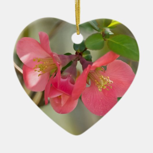 ピンクの花を咲かせるボケの輝き セラミックオーナメント (正面)