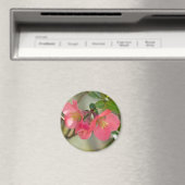 ピンクの花を咲かせるボケの輝き マグネット (インサイチュ (食洗機))