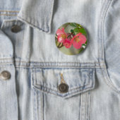 ピンクの花を咲かせるボケの輝き 缶バッジ (インサイチュ)