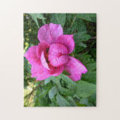 ピンクの花を咲かせる美しい写真 –  ジグソーパズル (縦)