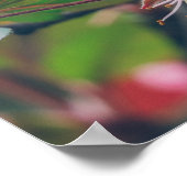 ピンクの花を持つ梅の木の枝 ポスター (角)