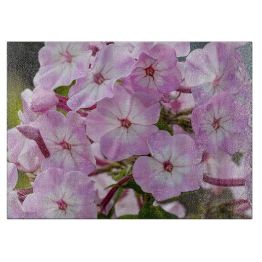 ピンクの花を撮影したPhlox カッティングボード (正面)