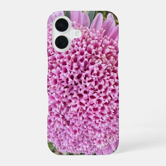 ピンクの花アスターの植物学的なiPhone 16ケース iPhone 16ケース (裏面)