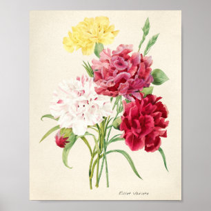 ピンクの花イラストレーション アート ポスター