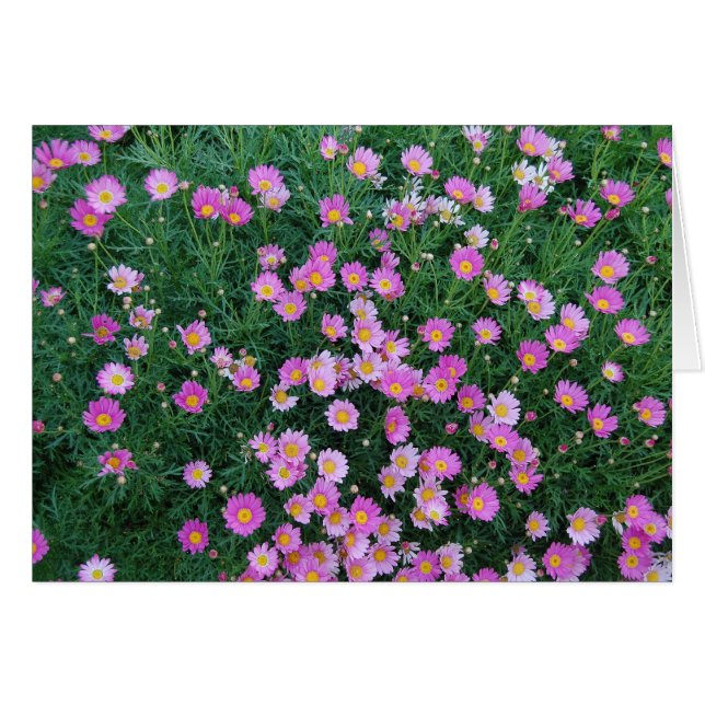 ピンクの花カード (正面横)