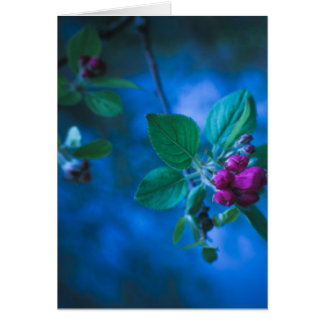 ピンクの花カード