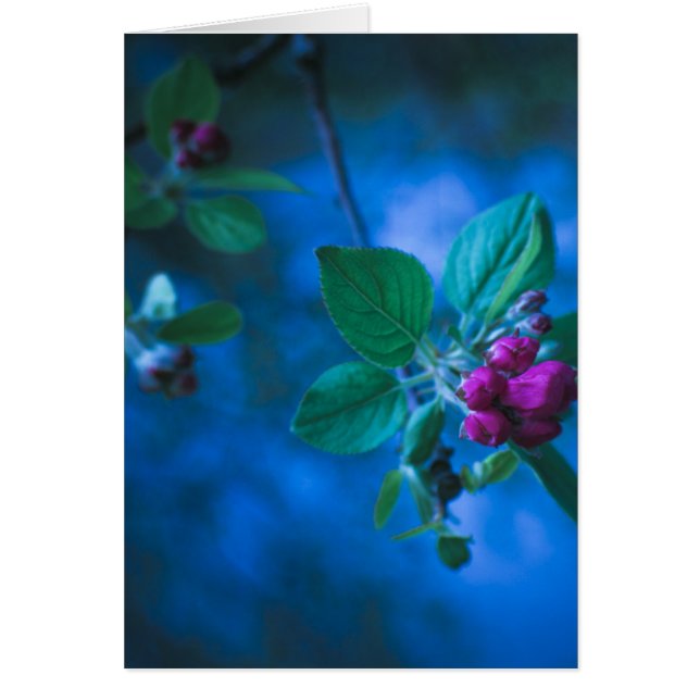 ピンクの花カード (正面)