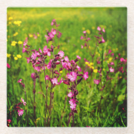 ピンクの花ガラスのコースター ガラスコースター