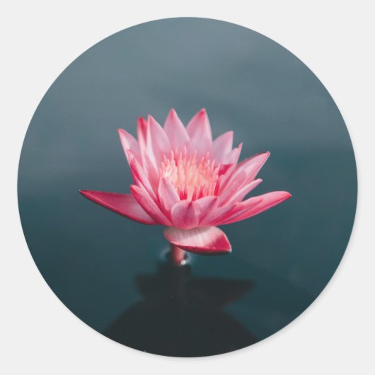 ピンクの花グリーティングカードセット ラウンドシール (正面)