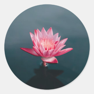 ピンクの花グリーティングカードセット ラウンドシール