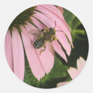 ピンクの花シール ラウンドシール