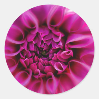 ピンクの花シール ラウンドシール