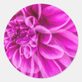 ピンクの花シール ラウンドシール
