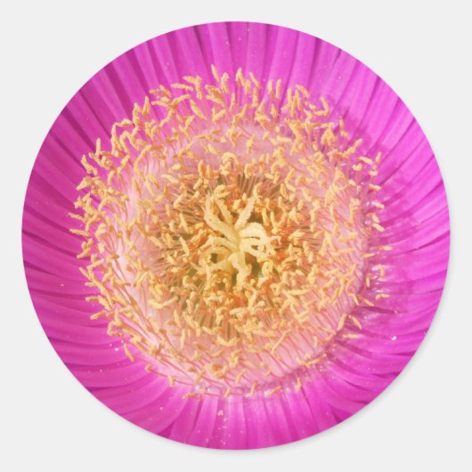 ピンクの花センターシール ラウンドシール (正面)