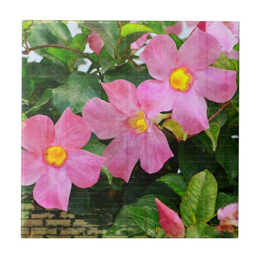 ピンクの花タイル タイル (正面)