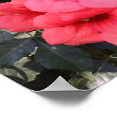 ピンクの花バリューポスター紙 ポスター (角)