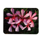 ピンクの花フォトマグネット マグネット (横)