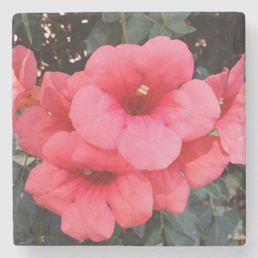 ピンクの花フォトマーブルストーンコースター ストーンコースター (正面)