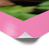 ピンクの花フローラチューリップチューリップガーデンポスター ポスター (コーナー)