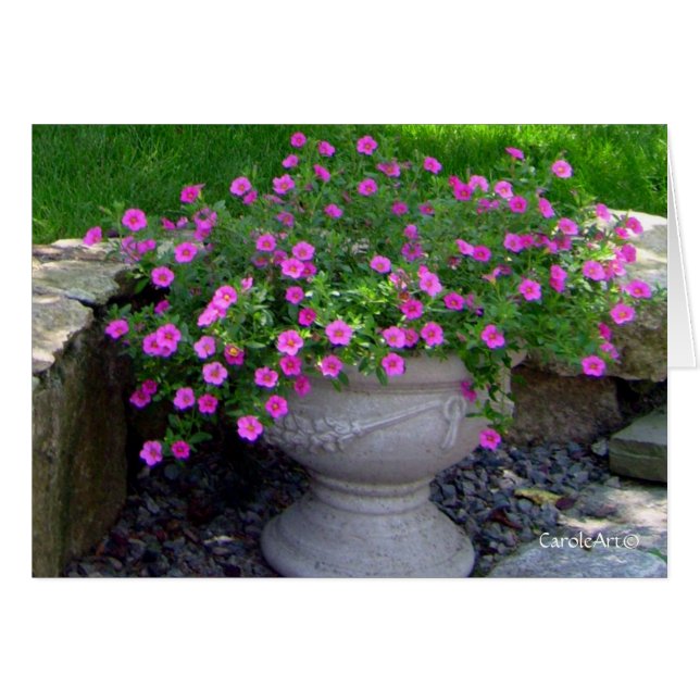 ピンクの花プランターノート (正面横)