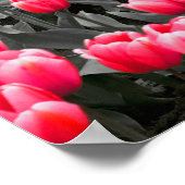 ピンクの花ミニマル選択カラーフォトアート ポスター (角)