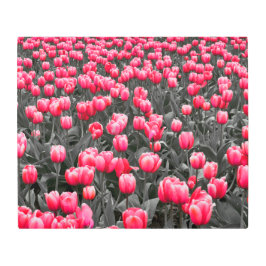 ピンクの花ミニマル選択カラーフォトアート メタルプリント