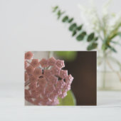 ピンクの花写真 ポストカード (スタンド正面)