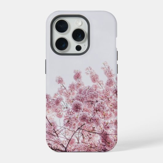 ピンクの花咲くフラワー iPhoneケース (裏面)