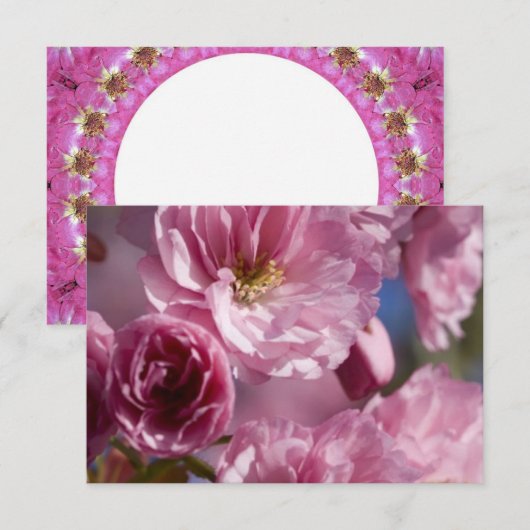 ピンクの花咲く姿 (正面/裏面)