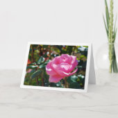 ピンクの花園のバラ カード (正面)