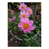 ピンクの花園 ポスター (正面)