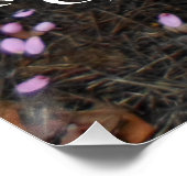 ピンクの花園 ポスター (コーナー)