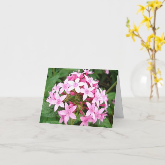 ピンクの花束v2 カード (黄色い花)